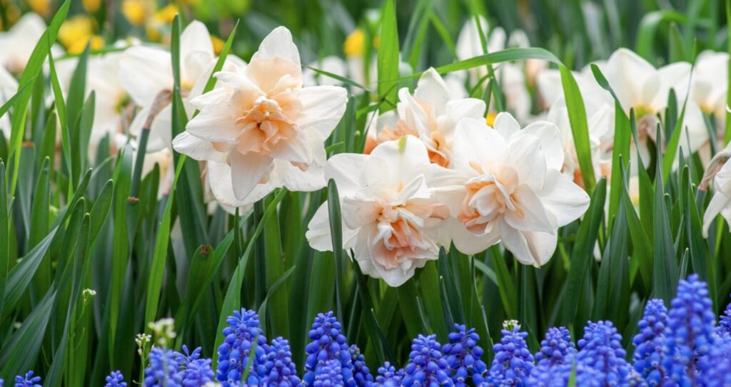 Keeping Everyone Safe