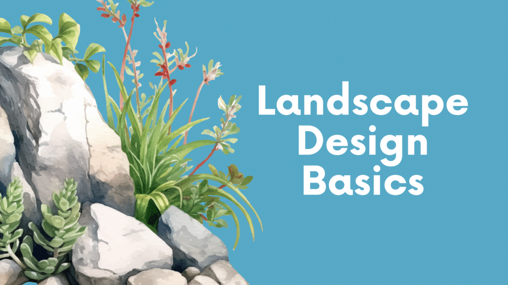 Landscape Design Basics