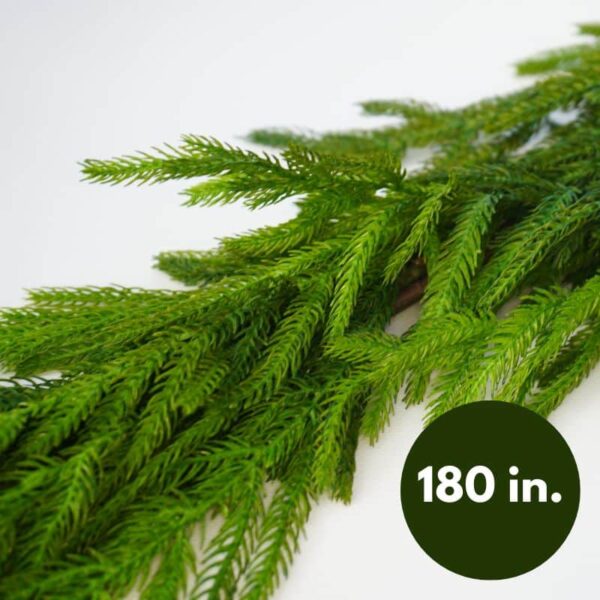 Soft Touch Norfolk Pine Garland 180"