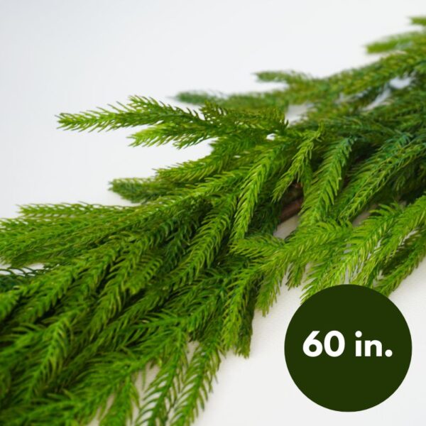 Soft Touch Norfolk Pine Garland 60"