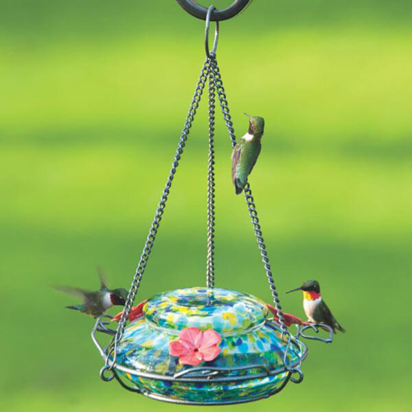 Solar Powered Illuminated Glass Hummingbird Feeder