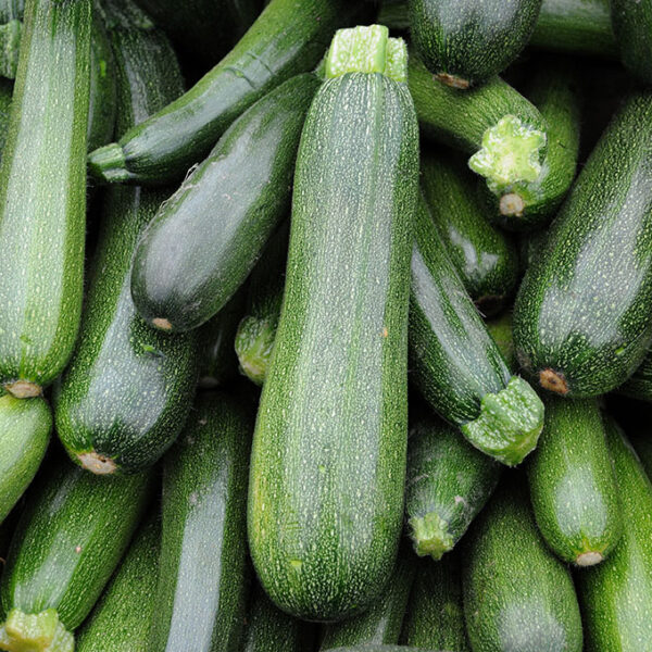 Chef Jeff Zucchini Squash