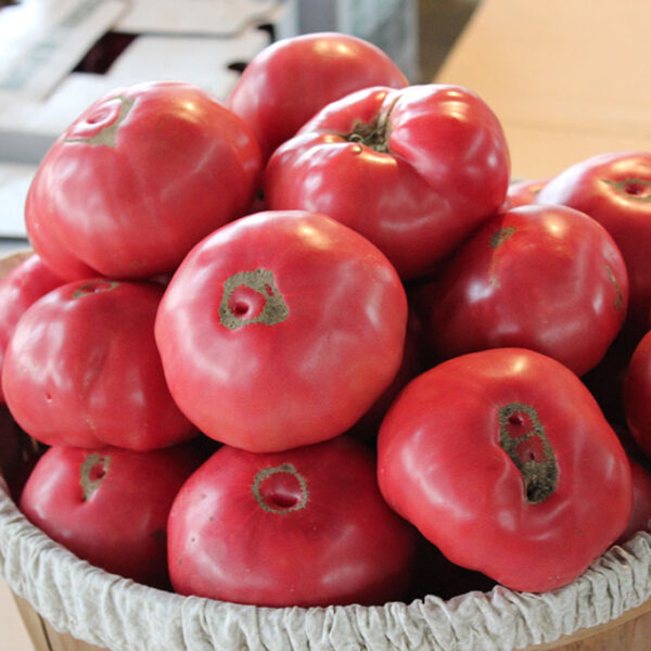 Chef Jeff "Brandywine" Large Slicer Heirloom Tomato
