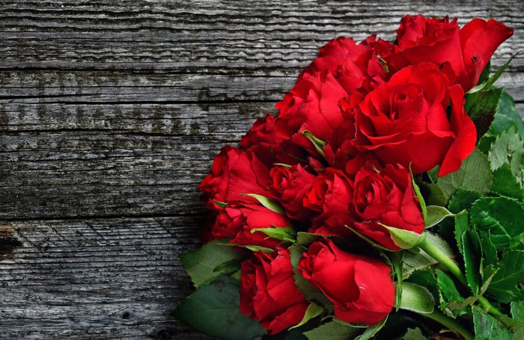 Valentine’s Day Gifts