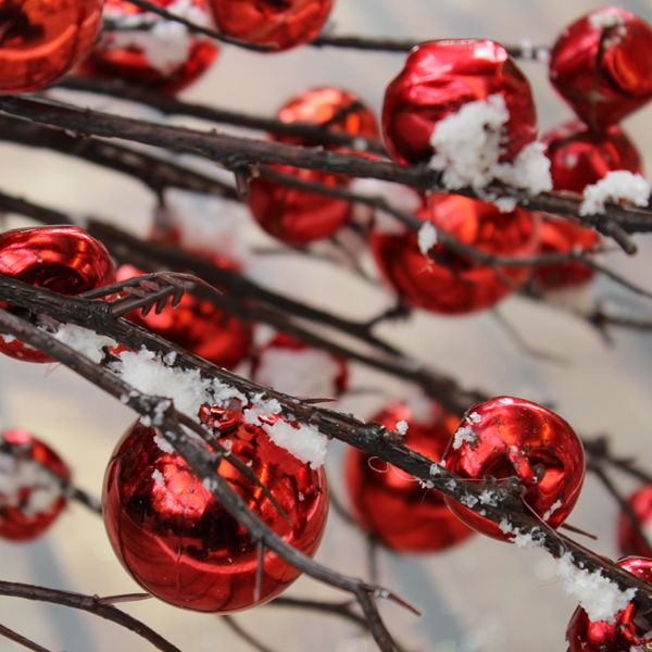 Christmas Ornaments