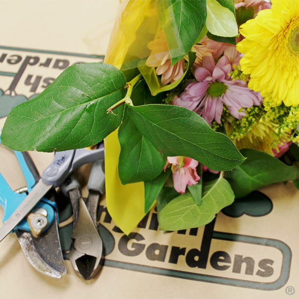Flower Arranging Tools, Shears 