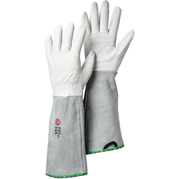 Hestra Gloves
