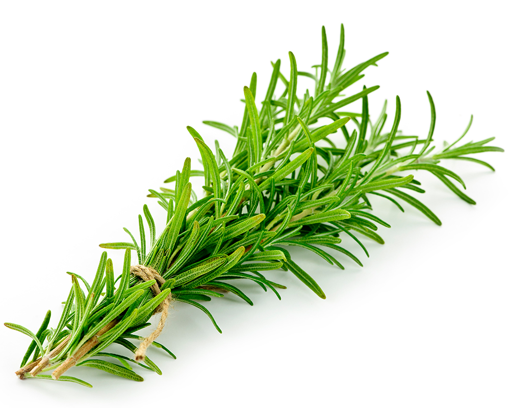 Rosemary