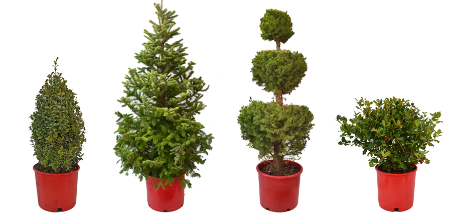 Christmas Ornaments